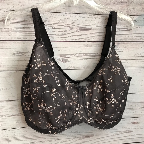 Fantasie Other - 40G Gray & Pink Floral Bra By Fantasie New